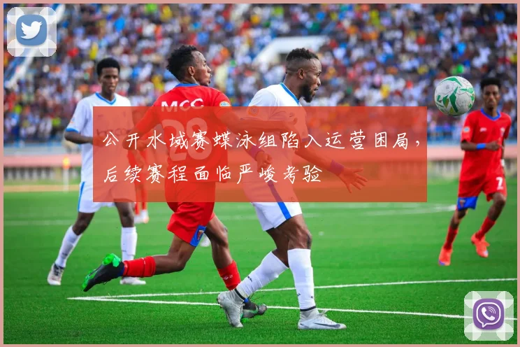 公开水域赛蝶泳组陷入运营困局，后续赛程面临严峻考验