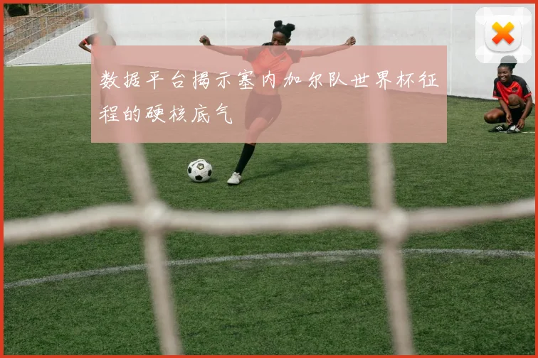 数据平台揭示塞内加尔队世界杯征程的硬核底气
